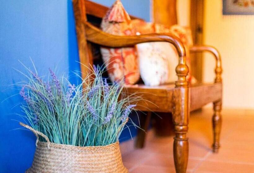 Casa Rural La Lavanda Lugar De Ensueño En La Alcarria