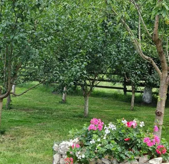 Căsuța Dintre Brazi