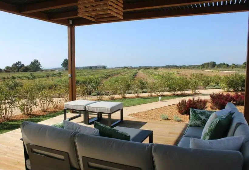 Quinta Do Planalto Vicentino   Casas De Campo