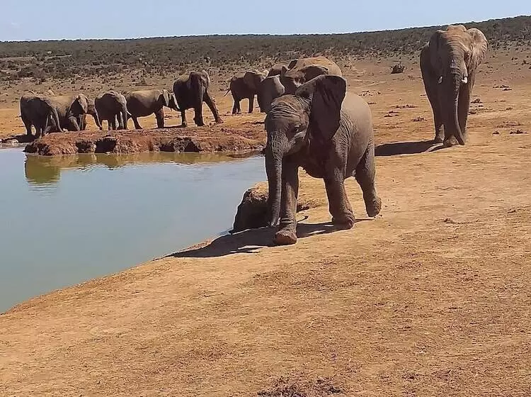 A1 Kynaston Self Catering Or Bed And Breakfast