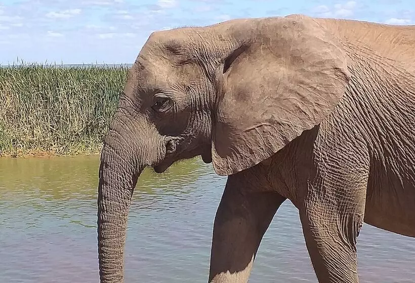 A1 Kynaston Self Catering Or Bed And Breakfast