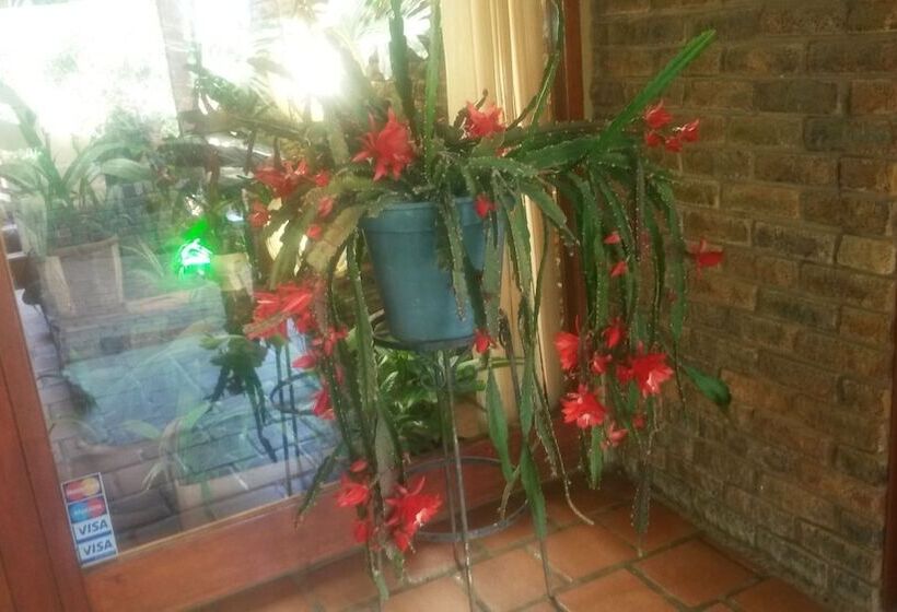 Acra Retreat, Mountain View Lodge