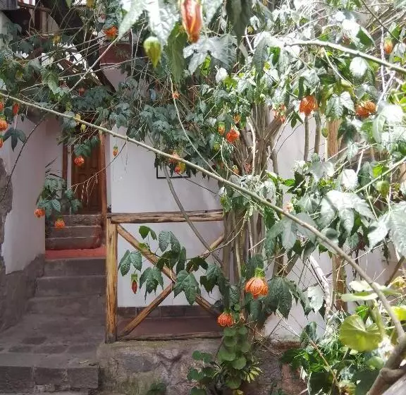 Casa De Mama Cusco The Treehouse