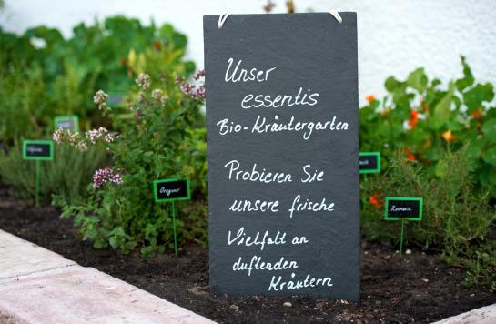 Essentis Bio-seminarhotel An Der Spree