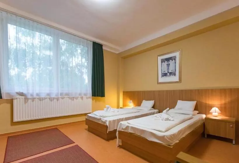 Отель Alföld Gyöngye