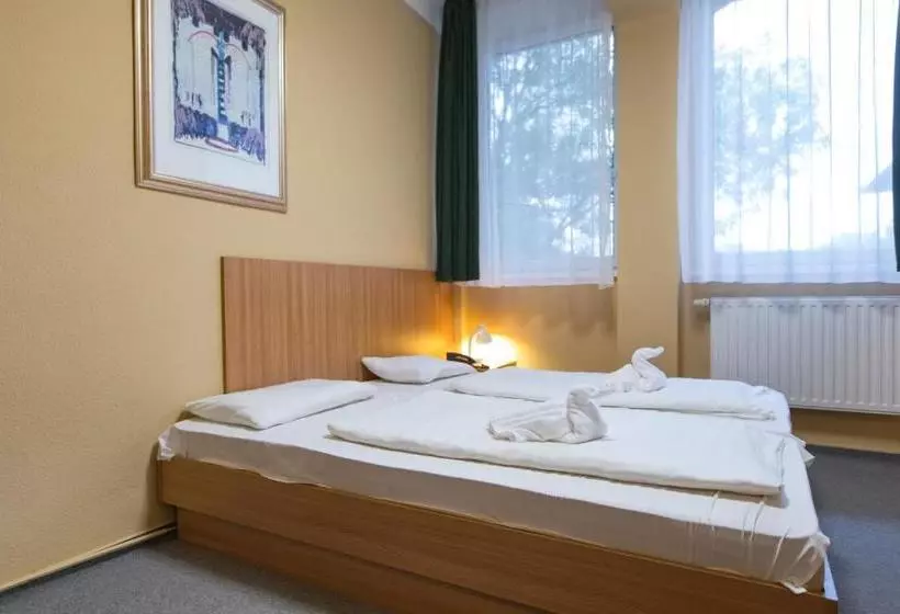 Отель Alföld Gyöngye