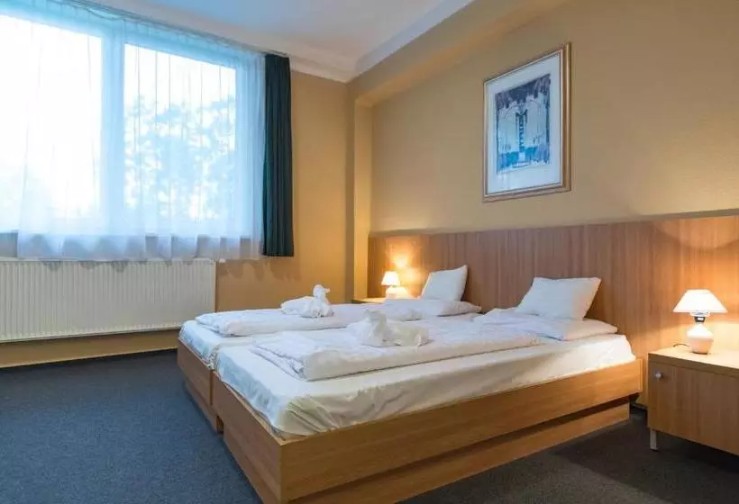 Отель Alföld Gyöngye