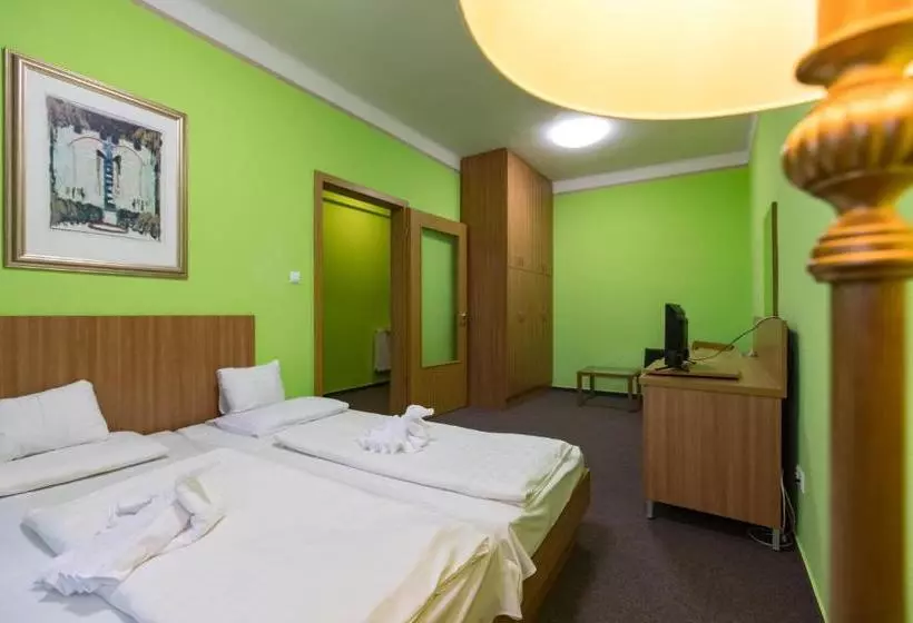 Отель Alföld Gyöngye