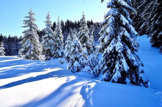 Hostellerie Am Schwarzsee