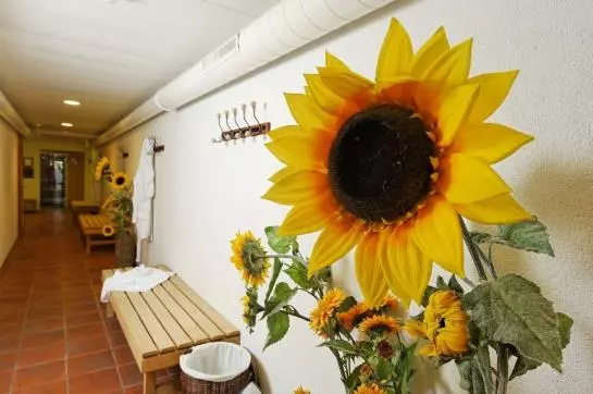 Hostellerie Am Schwarzsee