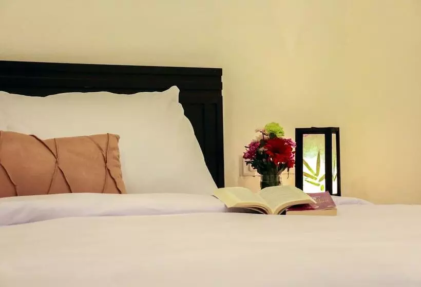 Nirvana Inn Patong