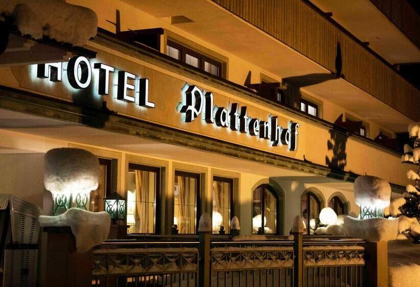 فندق Plattenhof