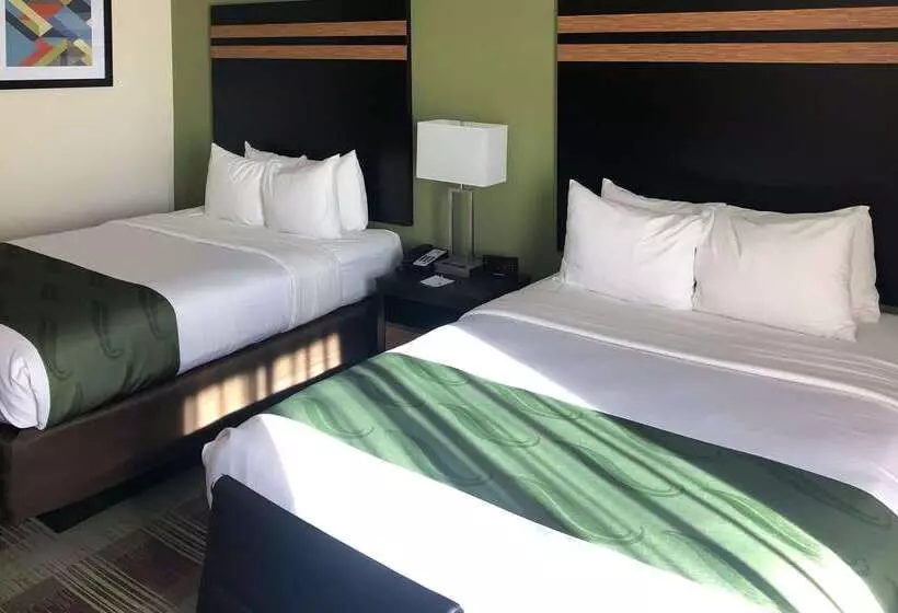 ホテル Quality Inn & Suites
