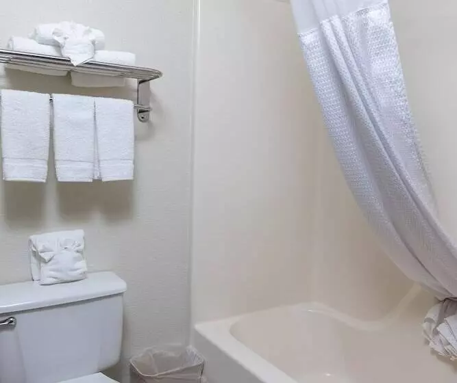 ホテル Quality Inn & Suites