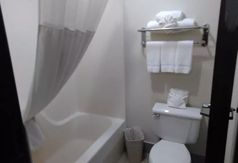 ホテル Quality Inn & Suites