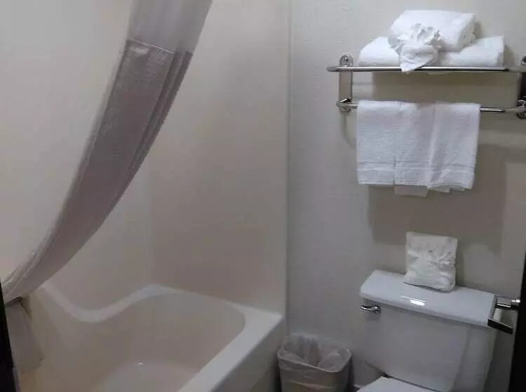 ホテル Quality Inn & Suites