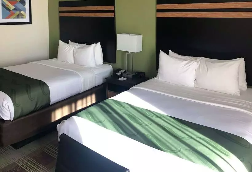 ホテル Quality Inn & Suites