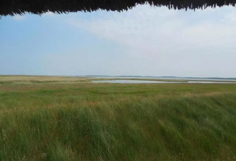 Hotelli Schlösschen Sundische Wiese Zingst