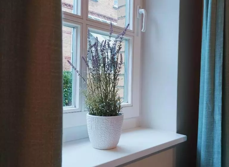 Hotelli Schlösschen Sundische Wiese Zingst