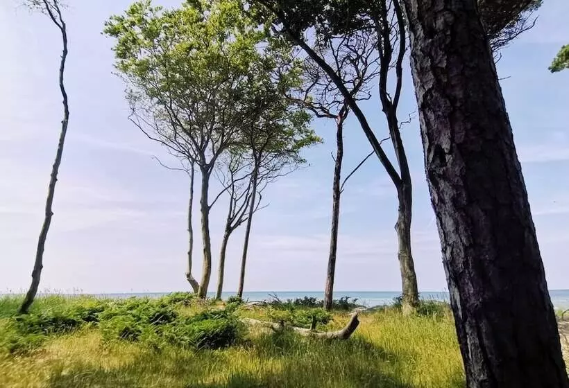 Hotelli Schlösschen Sundische Wiese Zingst