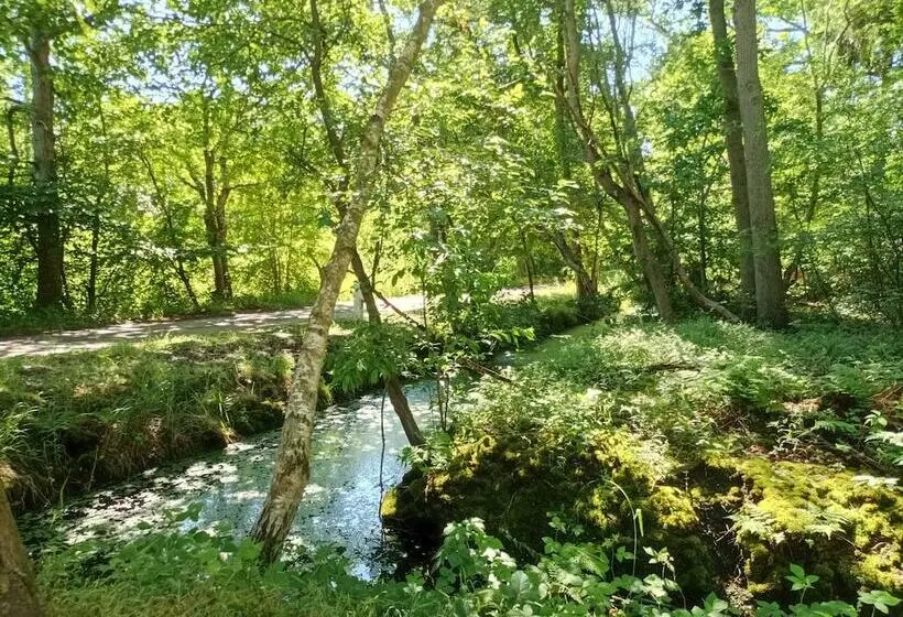 Hotelli Schlösschen Sundische Wiese Zingst