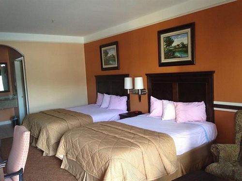 酒店 Scottish Inns And Suites Alvin