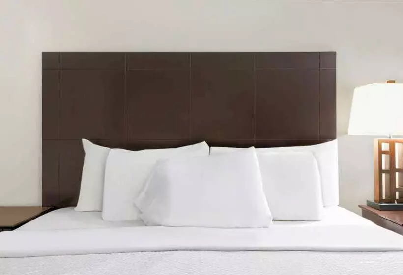 汽车旅馆 Studio 6pleasanton, Tx