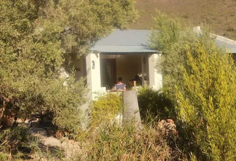 Olive Garden Country Lodge