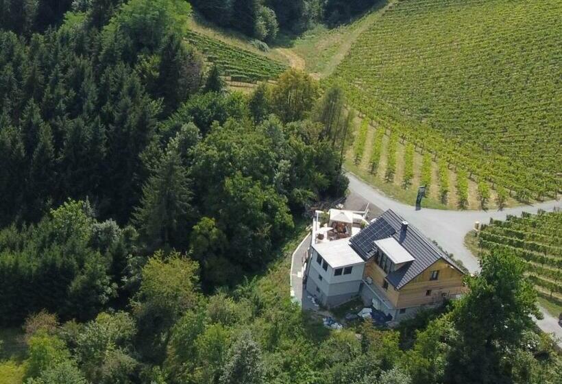 Bullas Weinlandstudio