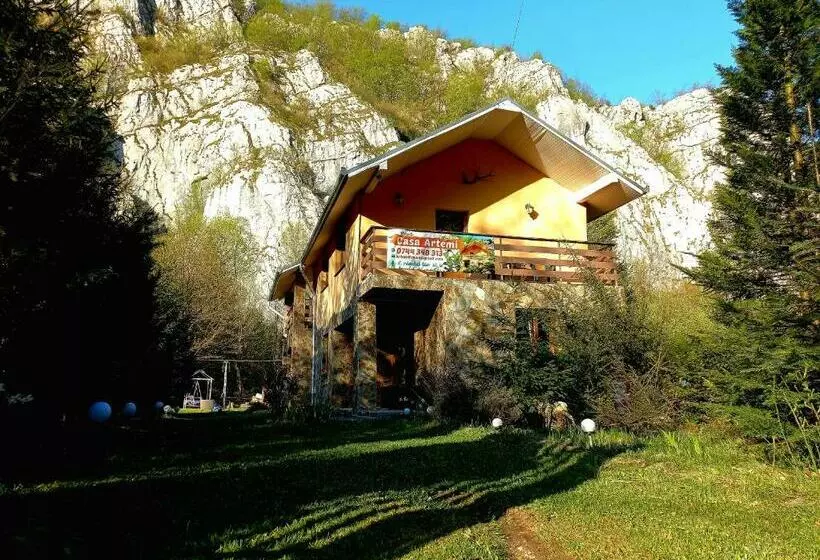 Casa Artemi