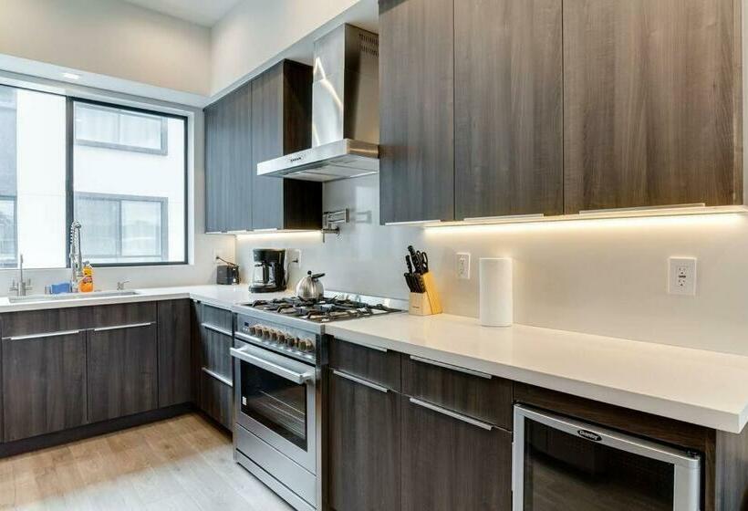 3 Luxury Modern Homes 12 Bedrooms & Rooftop Decks