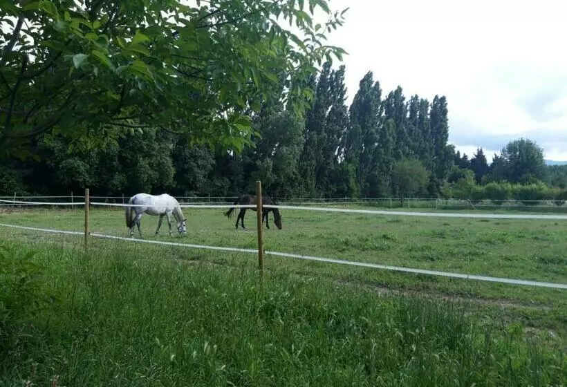 Gite Dans Mas A 10 Min De La Plage