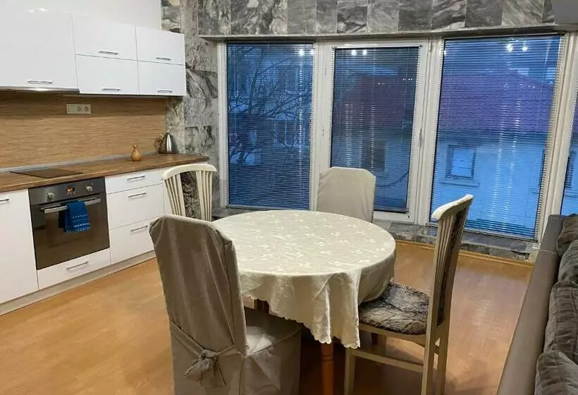 Spacious Apartment On Main Street