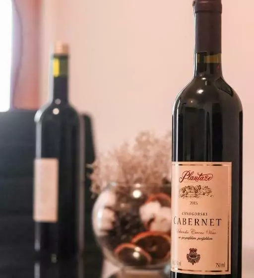 Stan Na Dan Sebastijan