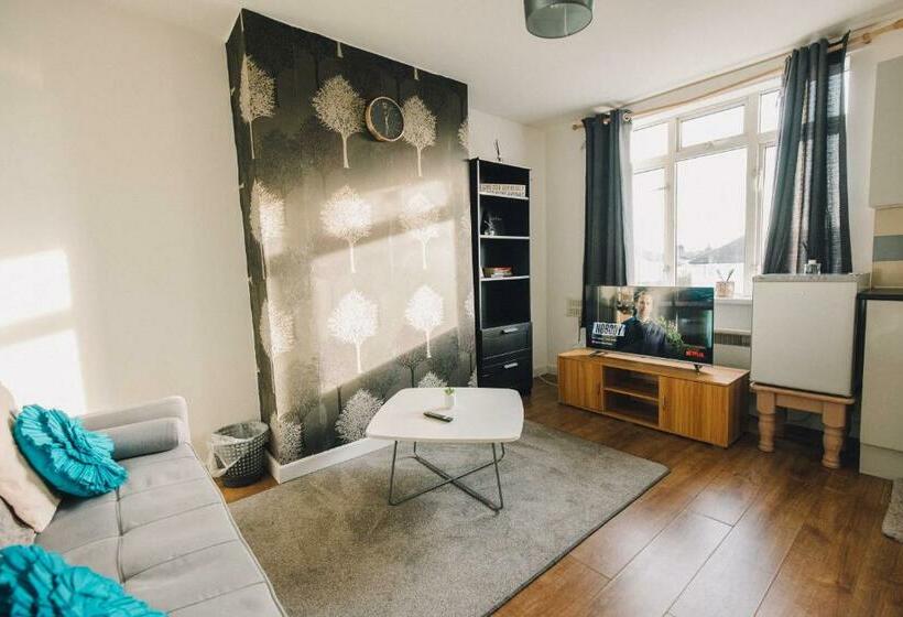 Luxury Central Luton   King Size Apartment   Free Parking   Free Wi Fi   Near Shops & Ltn Airport