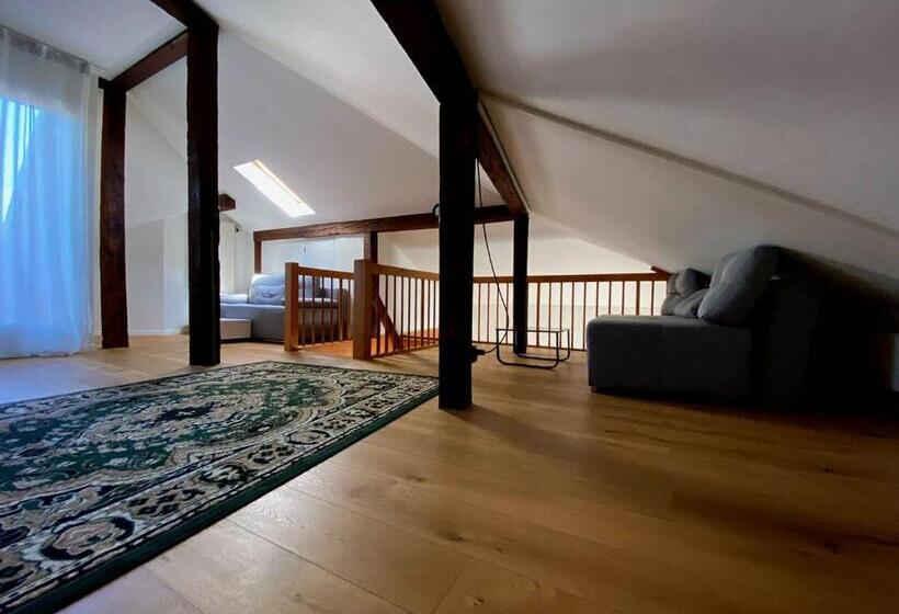 Stylish Two Floor Apartment In A Heart Of Basel