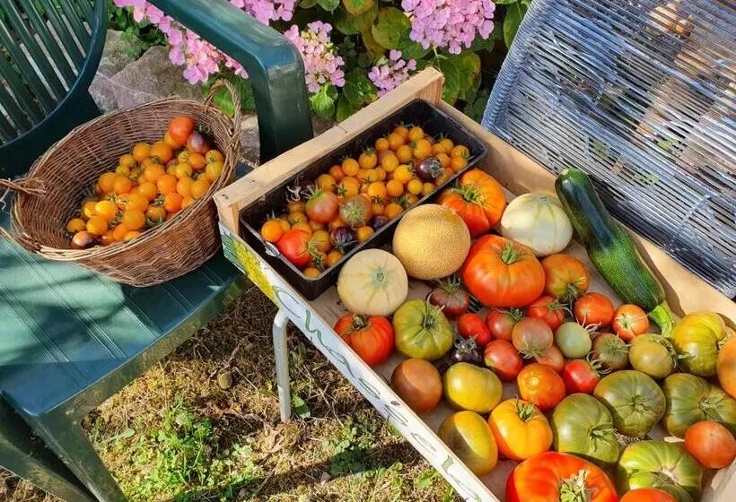 Longère à La Campagne, à Proximité De La Mer