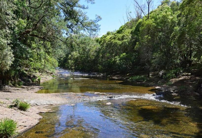 Rainforest River Studio Kangaroo Valley