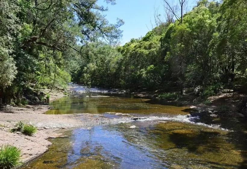 Rainforest River Studio Kangaroo Valley