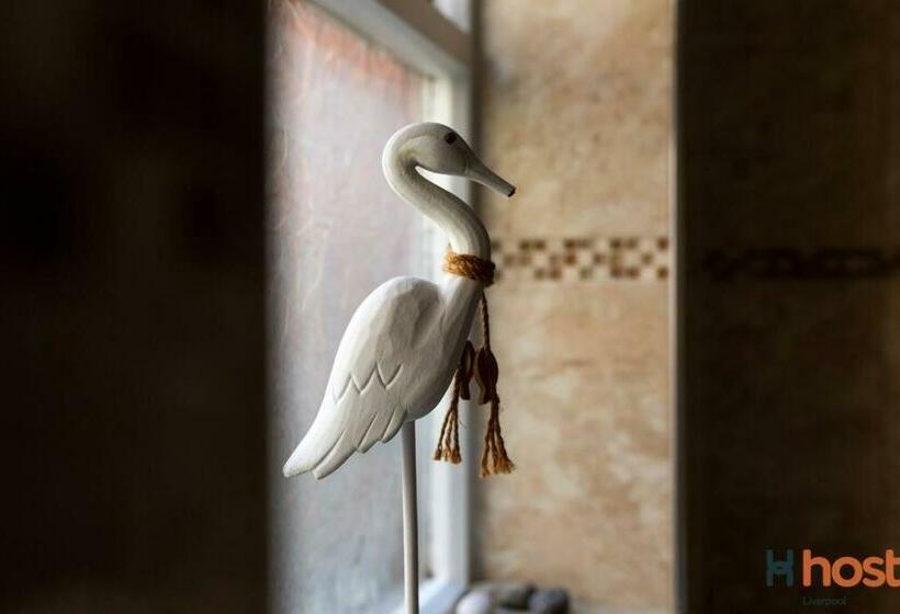 Host Liverpool   Quirky Retro Home