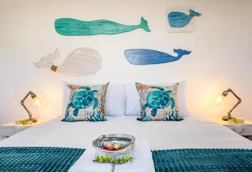 Whale & Tortoise   Lampiesbaai