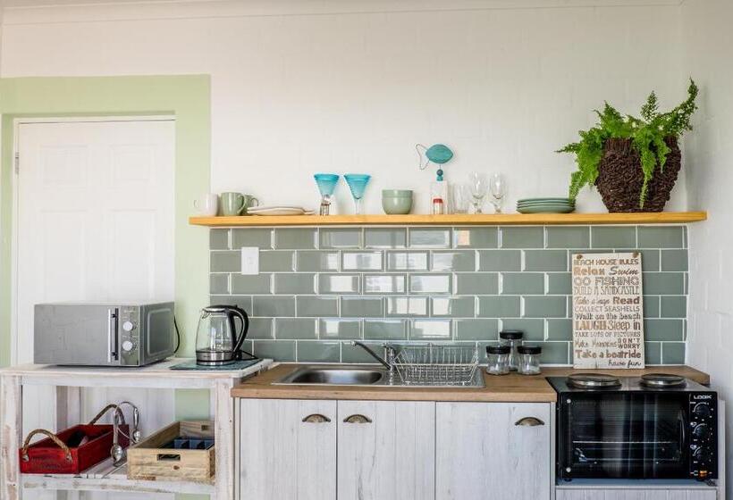 Whale & Tortoise   Lampiesbaai