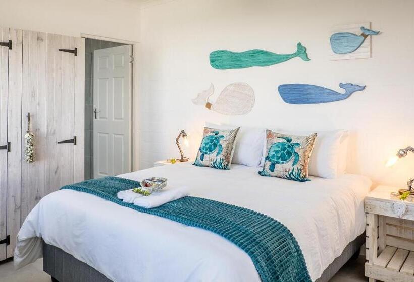 Whale & Tortoise   Lampiesbaai