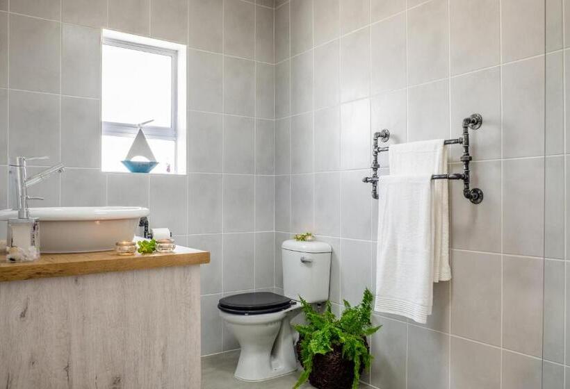 Whale & Tortoise   Lampiesbaai