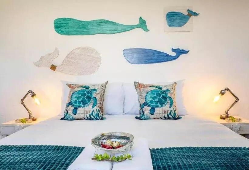 Whale & Tortoise   Lampiesbaai