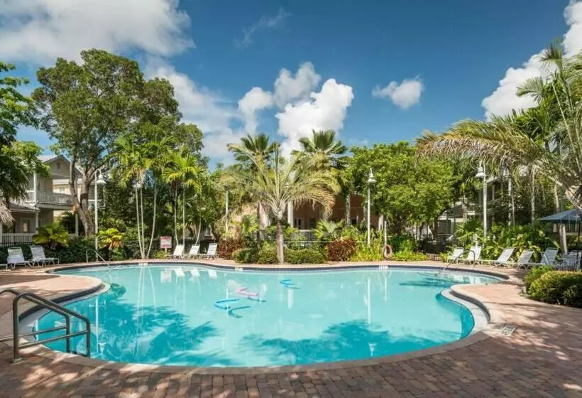 Coral Garden By Avantstay Great Location W Balcony & Shared Pool