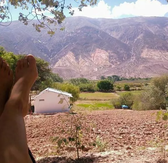 Dormir Con Llamas