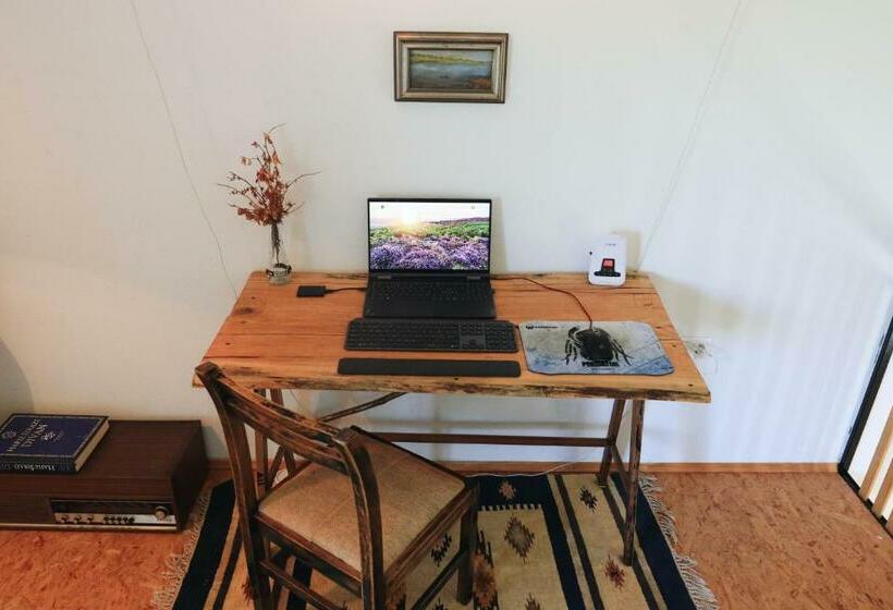 Idyllic River Front Holiday Houses Tišine