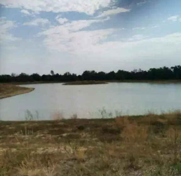 Pázsit Tó Vendégház