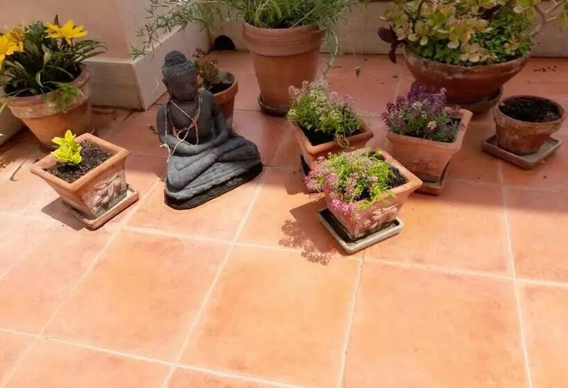 Sea View Penthouse With Beautiful Terrace   Casa Verdi Jayanti